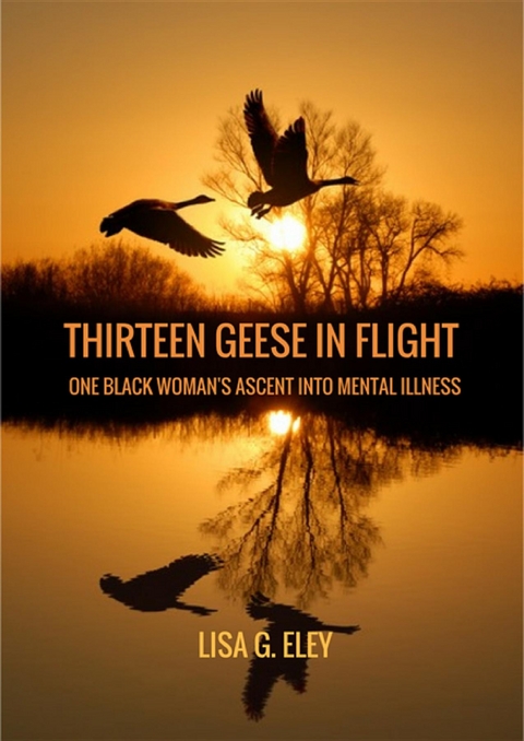 Thirteen Geese in Flight -  Lisa Eley