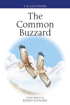 The Common Buzzard - Sean Walls, Professor Robert Kenward