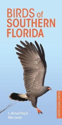Birds of Southern Florida - G. Michael Flieg
