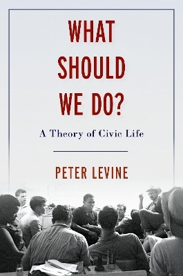 What Should We Do? - Peter Levine