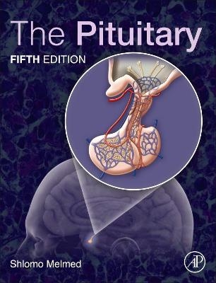 The Pituitary - 