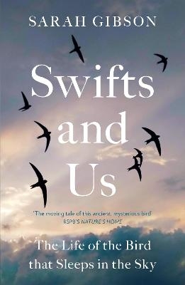 Swifts and Us - Sarah Gibson