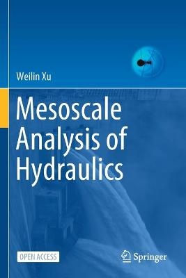 Mesoscale Analysis of Hydraulics - Weilin Xu