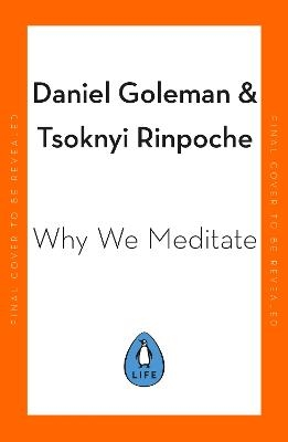 Why We Meditate - Daniel Goleman,  Tshogs-gnyis-rin-po-che