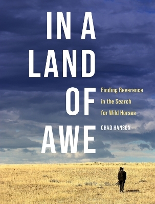 In a Land of Awe - Chad Hanson