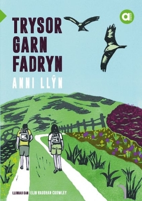 Cyfres Amdani: Trysor Garn Fadryn - Anni Llŷn