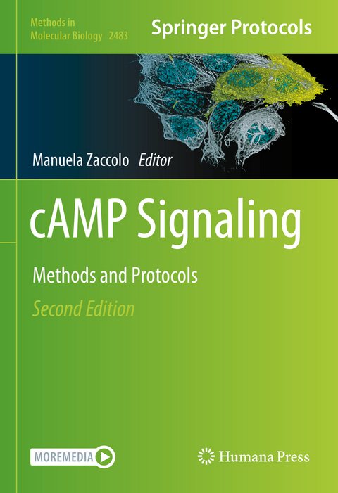 cAMP Signaling - 