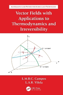 Vector Fields with Applications to Thermodynamics and Irreversibility - Luis Manuel Braga da Costa Campos, Luís António Raio Vilela