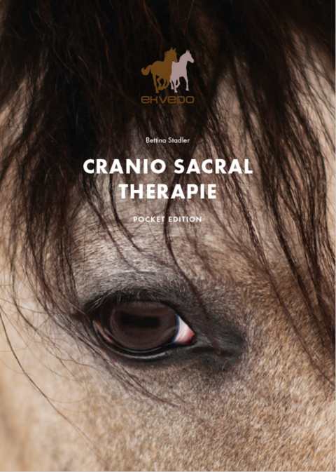 CRANIO SACRAL THERAPIE bei Pferden - Stadler Bettina