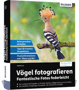 Vögel fotografieren - Detlef, Hase