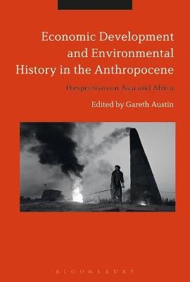 Economic Development and Environmental History in the Anthropocene - 
