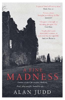 A Fine Madness - Alan Judd