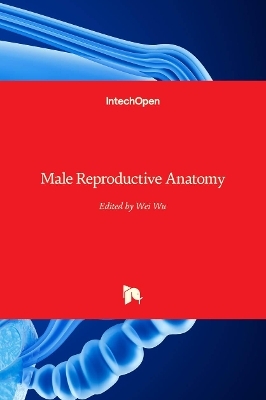 Male Reproductive Anatomy - 