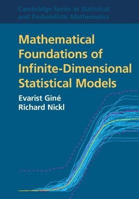 Mathematical Foundations of Infinite-Dimensional Statistical Models - Evarist Giné, Richard Nickl