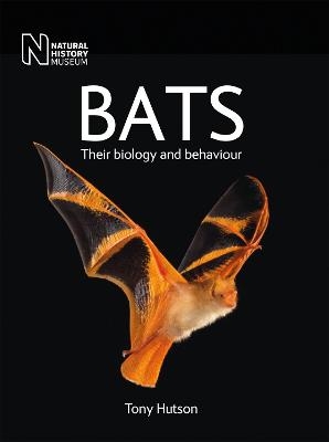 Bats - Tony Hutson