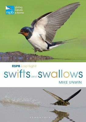 RSPB Spotlight Swifts and Swallows - Mike Unwin