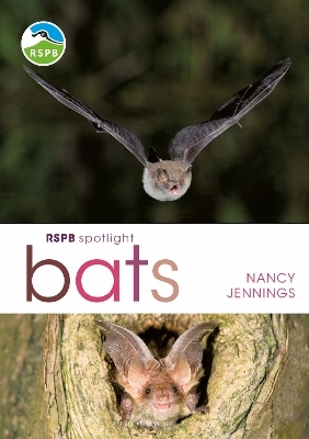 RSPB Spotlight Bats - Nancy Jennings