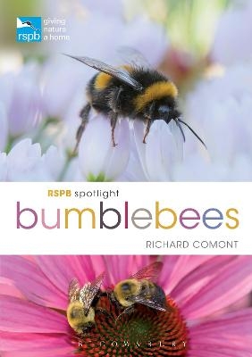 RSPB Spotlight Bumblebees - Richard Comont