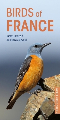 Birds of France - James Lowen, Aurélien Audevard