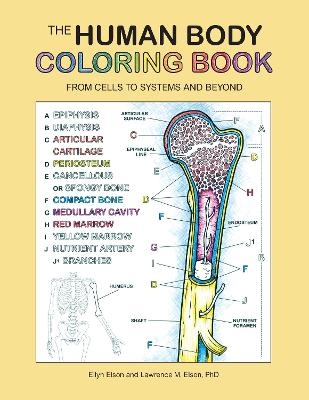 The Human Body Coloring Book -  Coloring Concepts Inc.