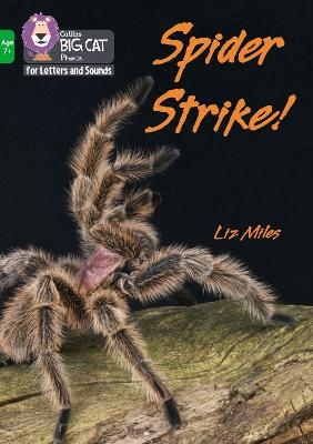 Spider Strike! - Liz Miles