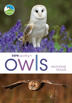 RSPB Spotlight Owls - Marianne Taylor