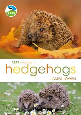 RSPB Spotlight Hedgehogs - James Lowen