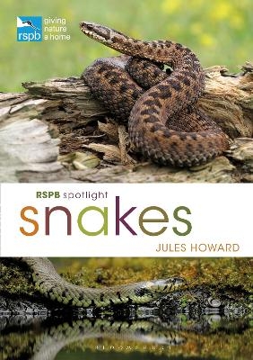 RSPB Spotlight Snakes - Jules Howard