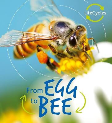 Lifecycles: Egg to Bee - Camilla de la Bedoyere