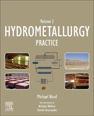 Hydrometallurgy - Michael Nicol