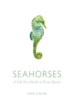 Seahorses - Sara Lourie