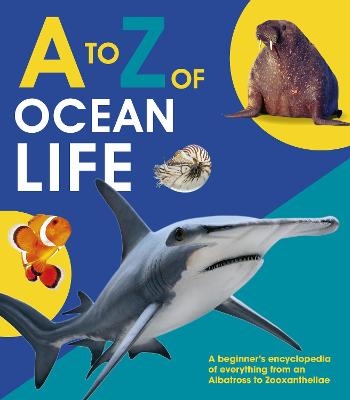A to Z of Ocean Life -  words &  pictures