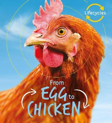 Lifecycles: Egg to Chicken - Camilla de la Bedoyere