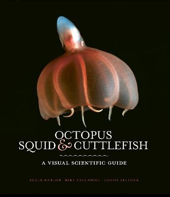 Octopus, Squid & Cuttlefish - Roger Hanlon, Louise Allcock, Mike Vecchione