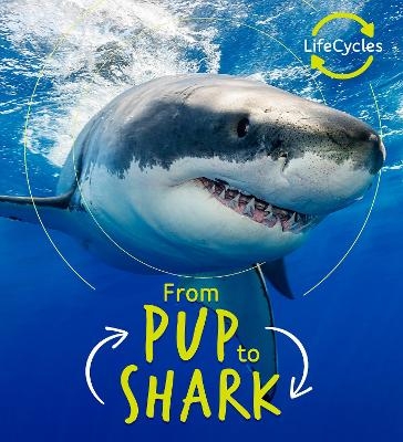 Lifecycles - Pup To Shark - Camilla de la Bedoyere