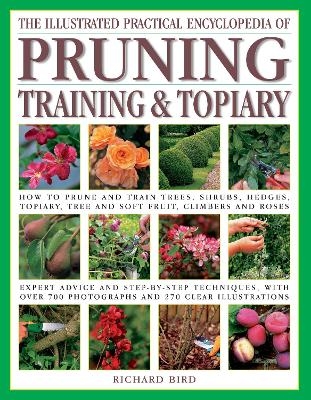 The Pruning, Training & Topiary, Illustrated Practical Encyclopedia of - Richard Bird