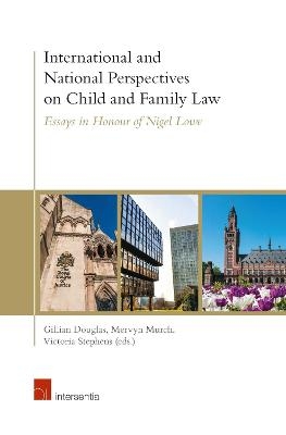 International and National Perspectives on Child and Family Law - 