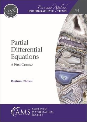 Partial Differential Equations - Rustum Choksi