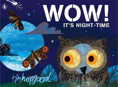 WOW! It's Night-time - Tim Hopgood