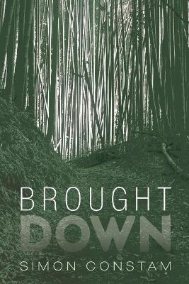 Brought Down - Simon Constam