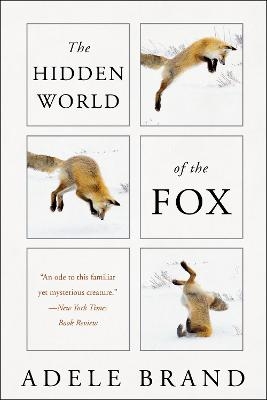 The Hidden World of the Fox - Adele Brand