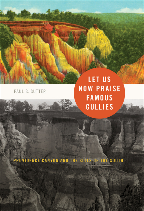 Let Us Now Praise Famous Gullies -  Paul S. Sutter