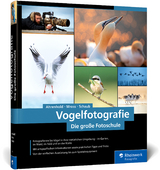 Vogelfotografie - Alexander Ahrenhold, Eike Mross, Hans-Peter Schaub