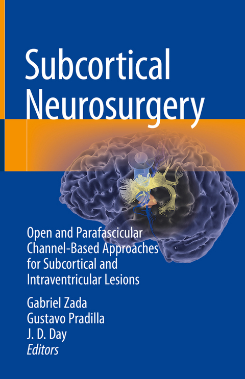 Subcortical Neurosurgery - 