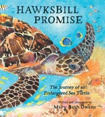 Hawksbill Promise - Mary Beth Owens