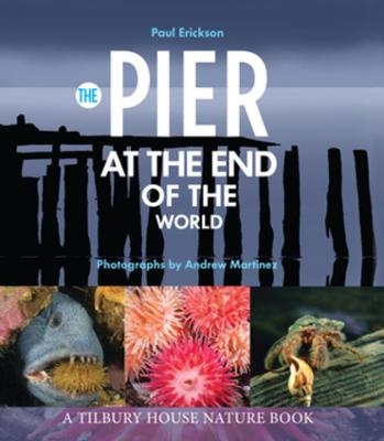 The Pier at the End of the World - Paul Erickson