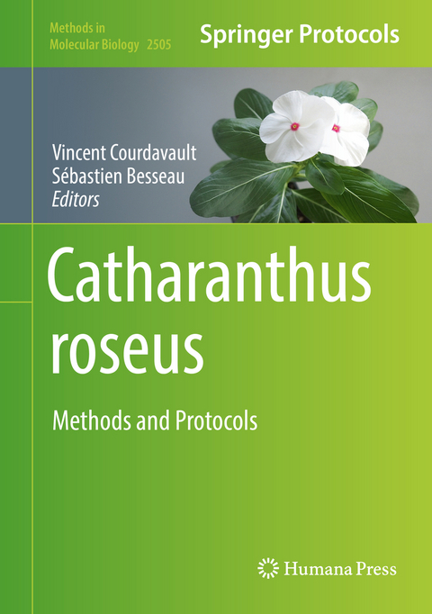 Catharanthus roseus - 