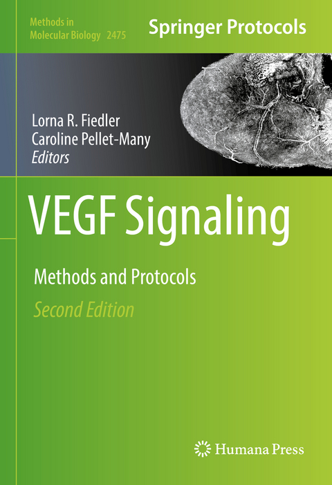 VEGF Signaling - 