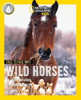 Face to Face with Wild Horses - Yva Momatiuk, John Eastcott