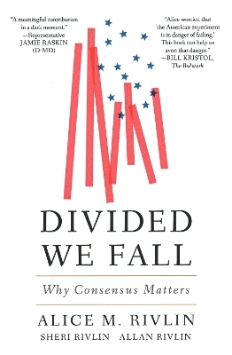 Divided We Fall - Alice M. Rivlin, Sheri Rivlin, Allan Rivlin